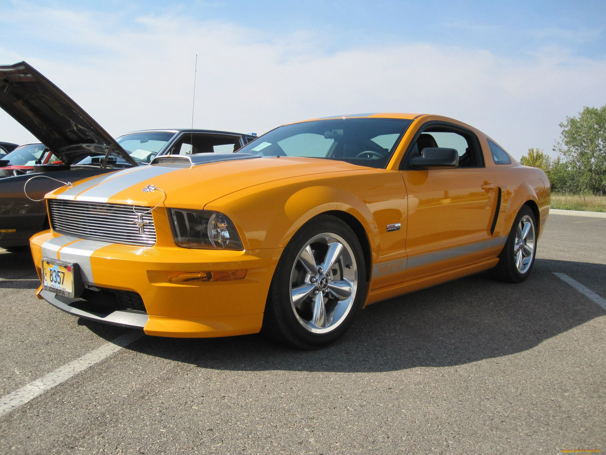 mustang, shelby, gt500, , , , , , , 